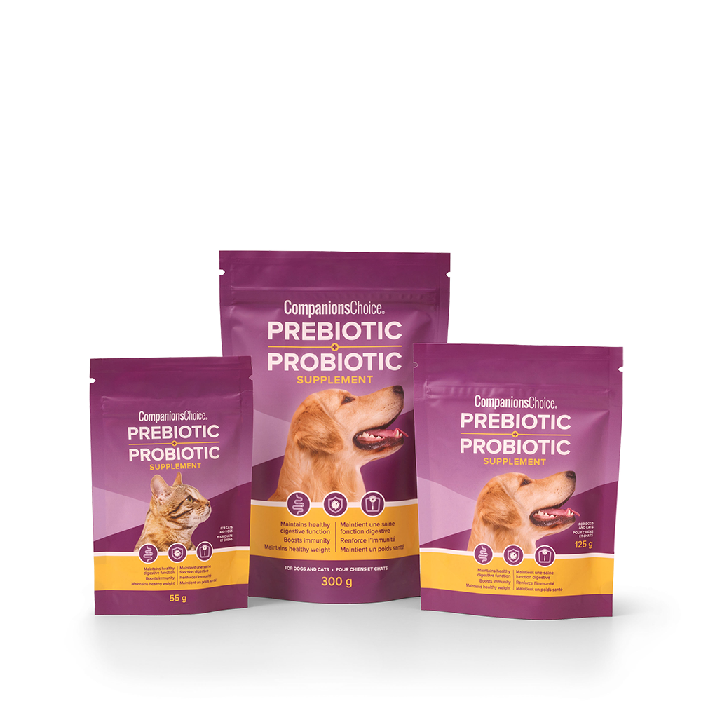 Companions Choice Prebiotic Probiotic Powder